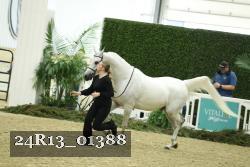 24R13_01388 thumbnail
