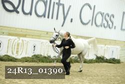 24R13_01390 thumbnail