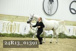 24R13_01391 thumbnail