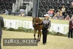 24R13_01393 thumbnail