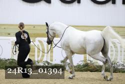 24R13_01394 thumbnail