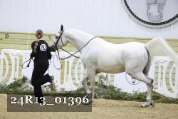 24R13_01396 thumbnail