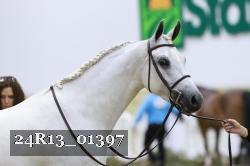 24R13_01397 thumbnail