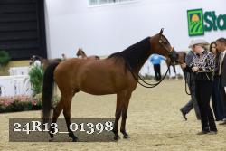 24R13_01398 thumbnail