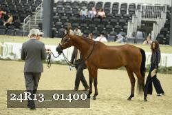 24R13_01400 thumbnail