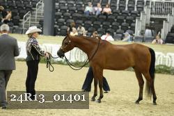 24R13_01401 thumbnail