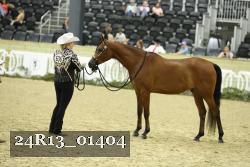 24R13_01404 thumbnail