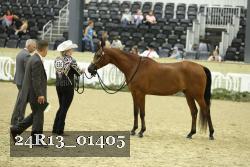 24R13_01405 thumbnail