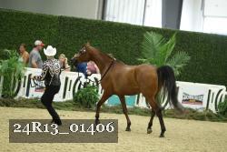 24R13_01406 thumbnail