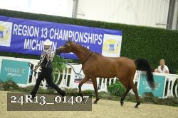 24R13_01407 thumbnail