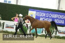 24R13_01408 thumbnail