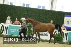 24R13_01409 thumbnail