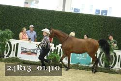 24R13_01410 thumbnail