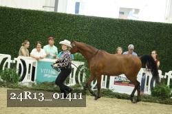 24R13_01411 thumbnail