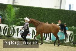 24R13_01412 thumbnail