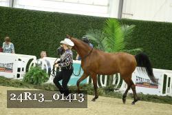 24R13_01413 thumbnail