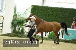 24R13_01414 thumbnail