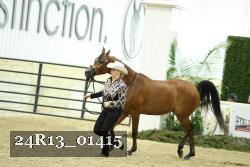 24R13_01415 thumbnail
