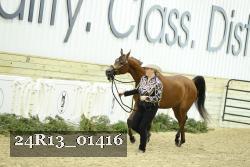 24R13_01416 thumbnail