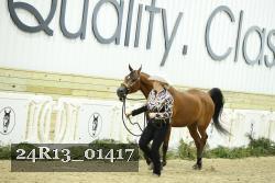 24R13_01417 thumbnail