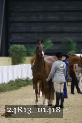 24R13_01418 thumbnail