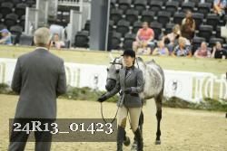 24R13_01423 thumbnail
