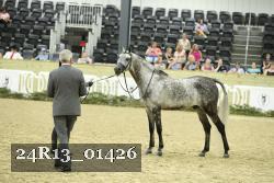 24R13_01426 thumbnail