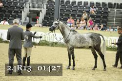 24R13_01427 thumbnail