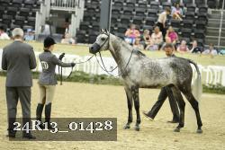 24R13_01428 thumbnail