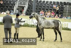 24R13_01429 thumbnail