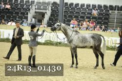 24R13_01430 thumbnail
