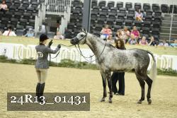 24R13_01431 thumbnail