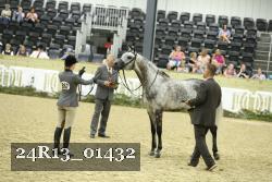 24R13_01432 thumbnail