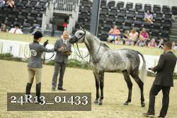 24R13_01433 thumbnail