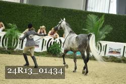24R13_01434 thumbnail
