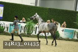 24R13_01435 thumbnail