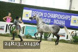 24R13_01436 thumbnail