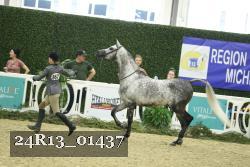 24R13_01437 thumbnail