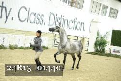 24R13_01440 thumbnail