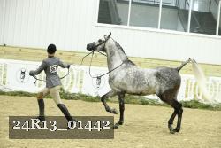 24R13_01442 thumbnail