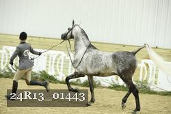 24R13_01443 thumbnail