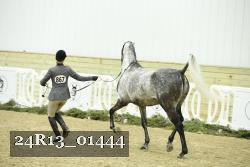 24R13_01444 thumbnail