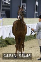 24R13_01445 thumbnail