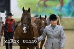 24R13_01446 thumbnail
