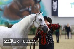 24R13_01447 thumbnail