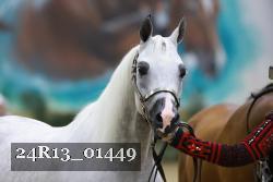 24R13_01449 thumbnail