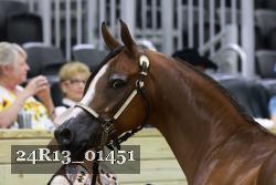 24R13_01451 thumbnail