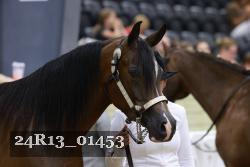 24R13_01453 thumbnail