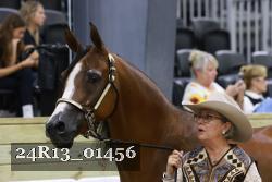 24R13_01456 thumbnail