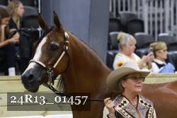 24R13_01457 thumbnail